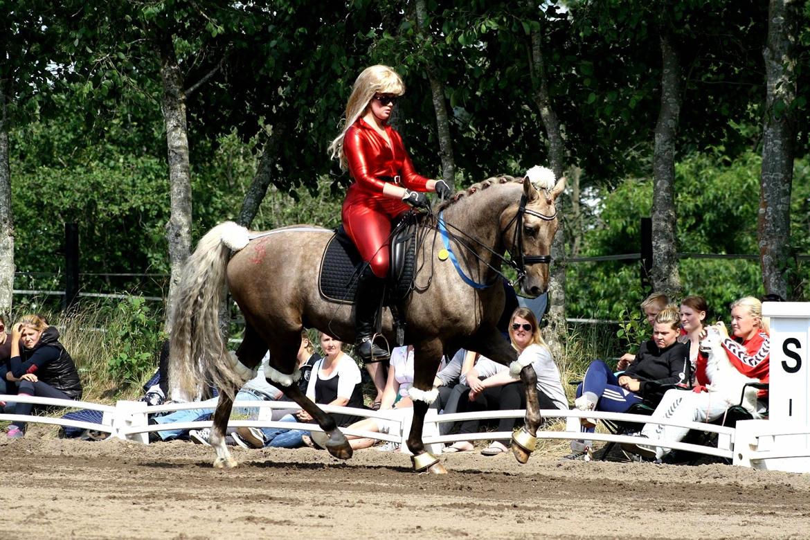 Chopali i Jysk Rideuge's Kostume Kür 2013! "PARIS HILTON & PUDDELHESTEN" billede 1