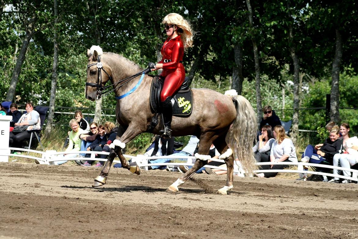 Chopali i Jysk Rideuge's Kostume Kür 2013! "PARIS HILTON & PUDDELHESTEN" billede 2