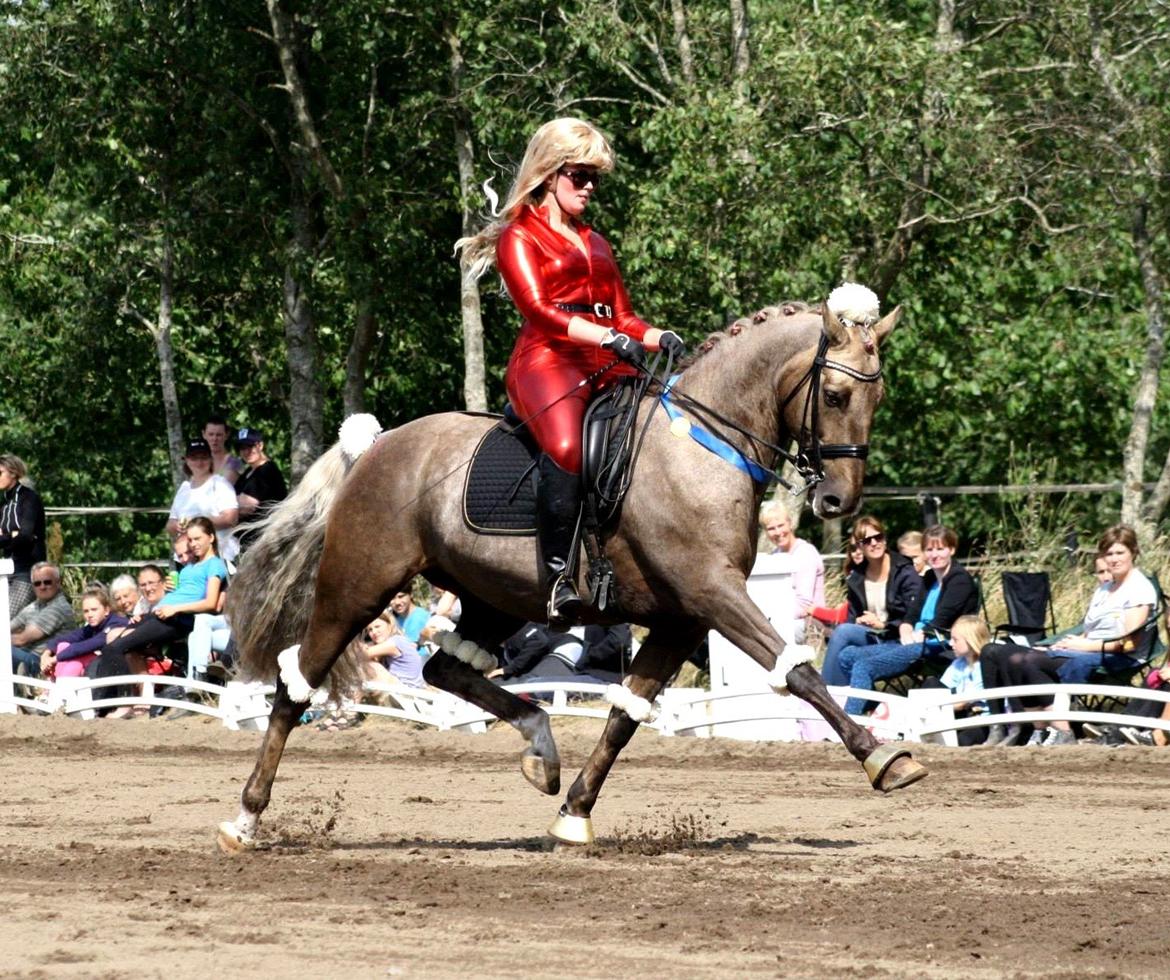 Chopali i Jysk Rideuge's Kostume Kür 2013! "PARIS HILTON & PUDDELHESTEN" billede 4