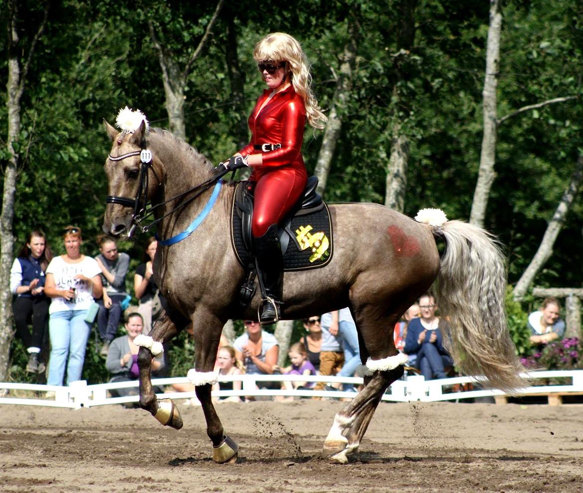 Chopali i Jysk Rideuge's Kostume Kür 2013! "PARIS HILTON & PUDDELHESTEN" billede 5