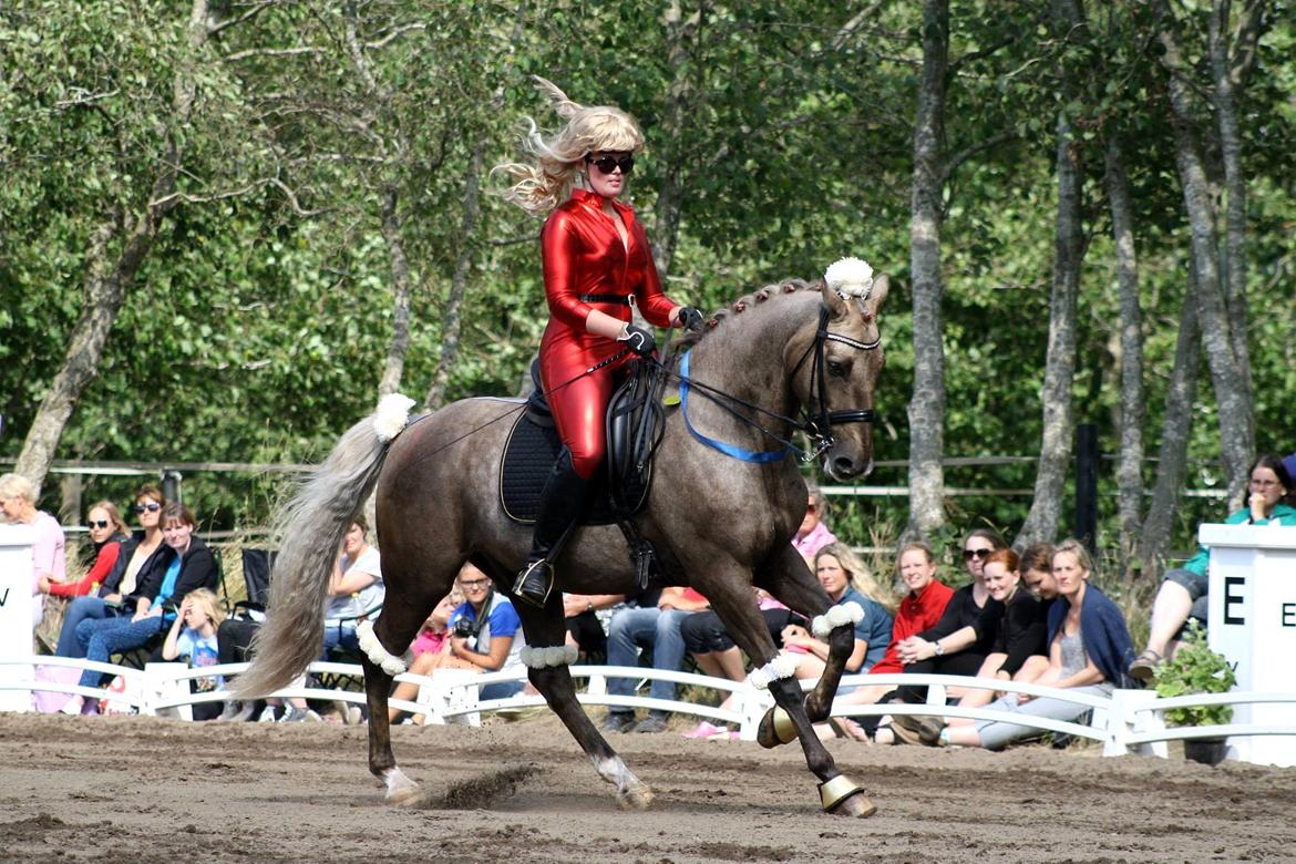 Chopali i Jysk Rideuge's Kostume Kür 2013! "PARIS HILTON & PUDDELHESTEN" billede 6