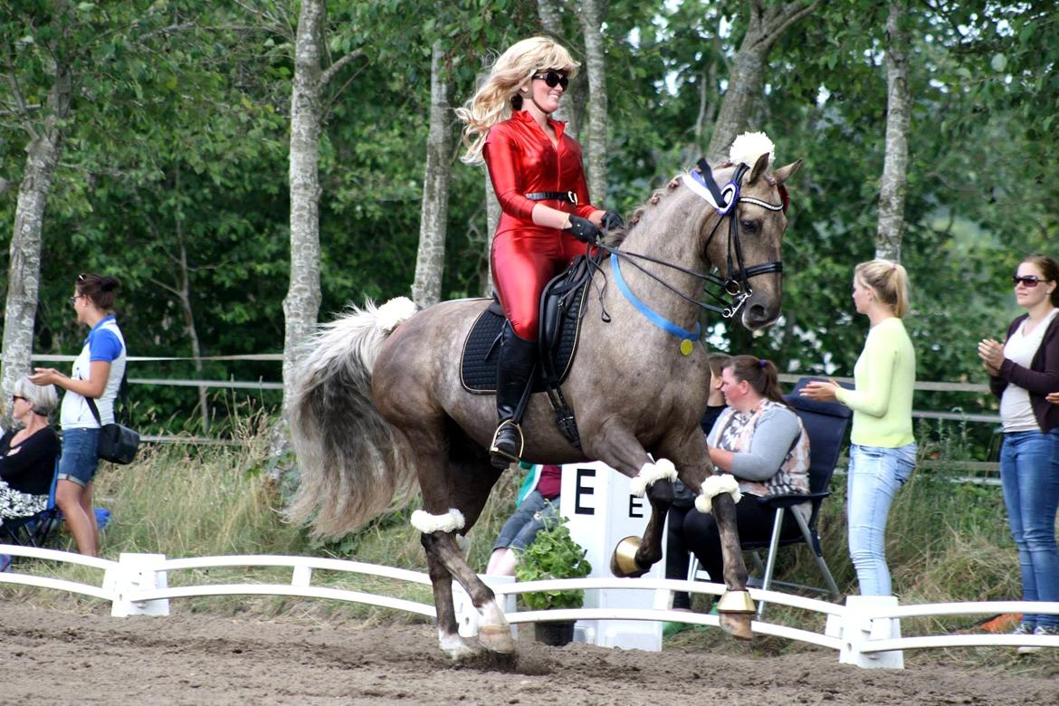 Chopali i Jysk Rideuge's Kostume Kür 2013! "PARIS HILTON & PUDDELHESTEN" billede 7