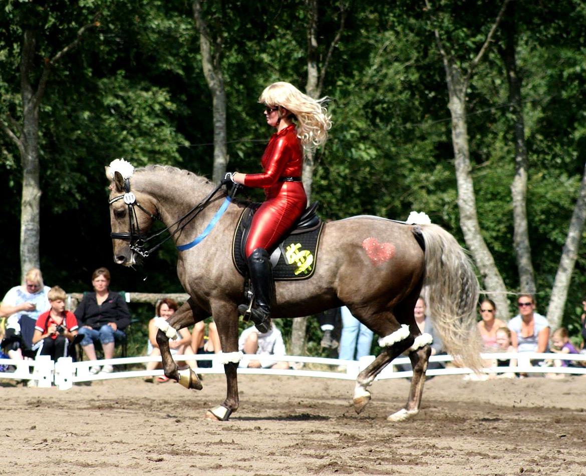 Chopali i Jysk Rideuge's Kostume Kür 2013! "PARIS HILTON & PUDDELHESTEN" billede 8