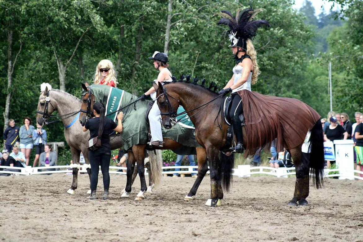 Chopali i Jysk Rideuge's Kostume Kür 2013! "PARIS HILTON & PUDDELHESTEN" billede 9