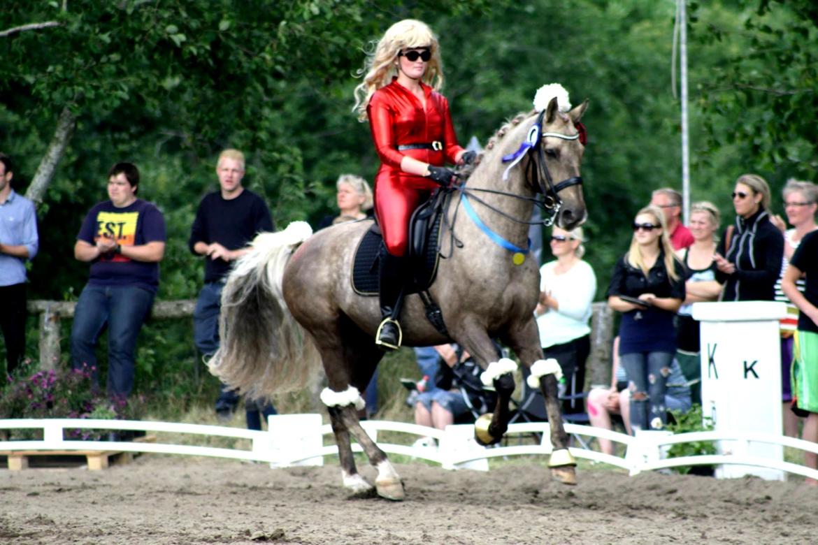 Chopali i Jysk Rideuge's Kostume Kür 2013! "PARIS HILTON & PUDDELHESTEN" billede 10