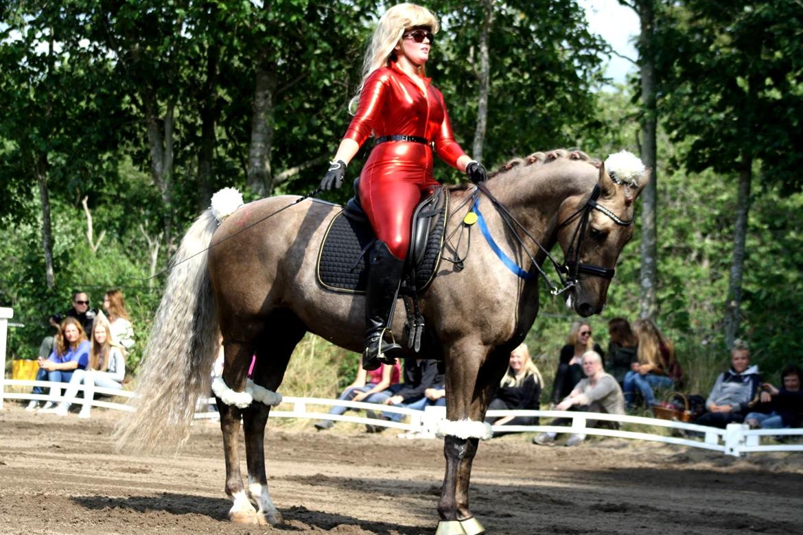 Chopali i Jysk Rideuge's Kostume Kür 2013! "PARIS HILTON & PUDDELHESTEN" billede 12