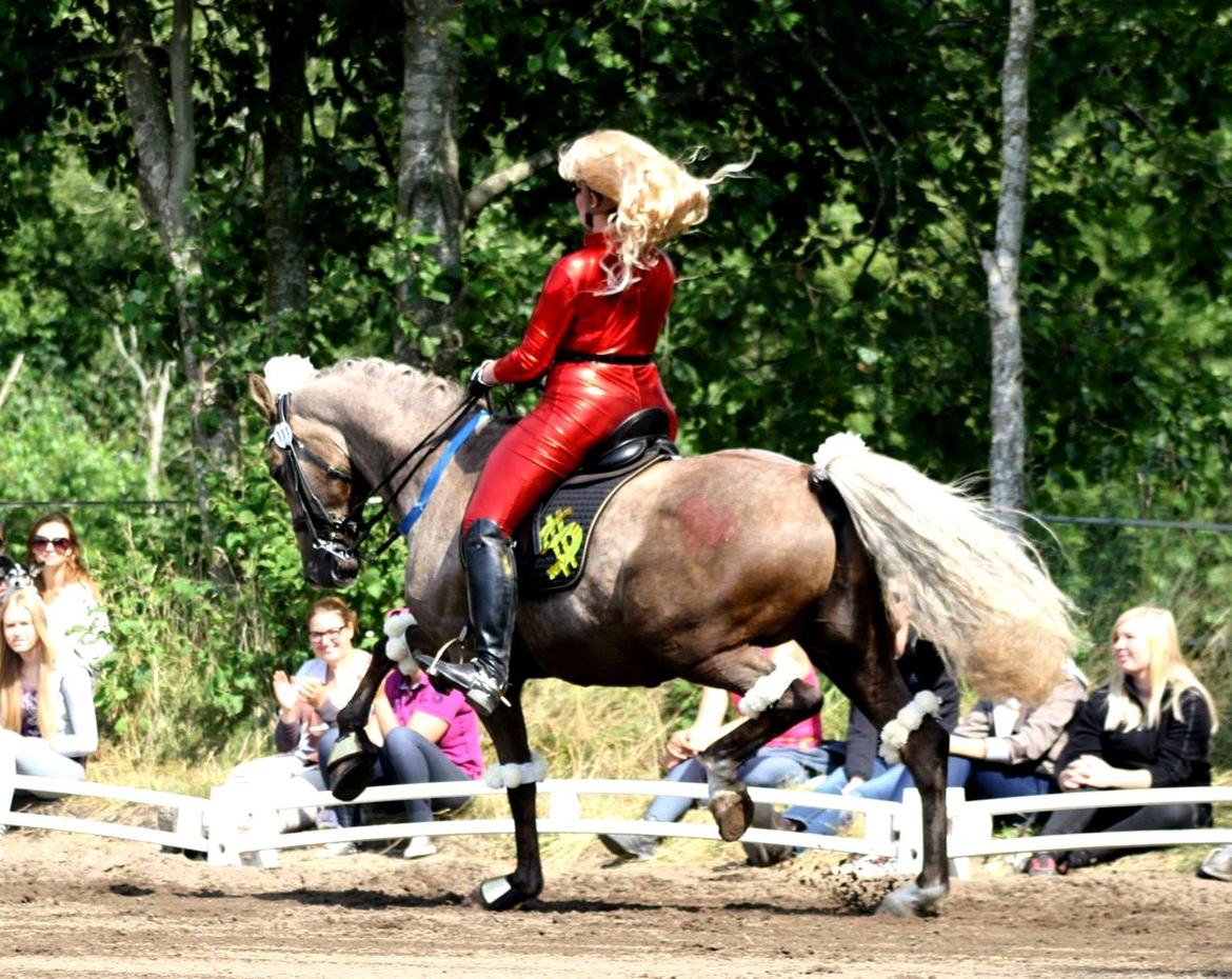 Chopali i Jysk Rideuge's Kostume Kür 2013! "PARIS HILTON & PUDDELHESTEN" billede 13