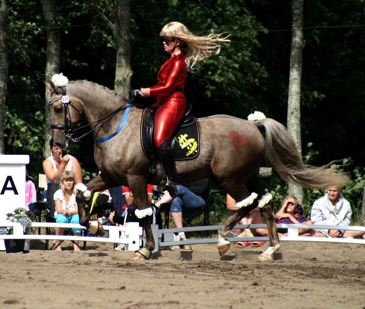Chopali i Jysk Rideuge's Kostume Kür 2013! "PARIS HILTON & PUDDELHESTEN" billede 14