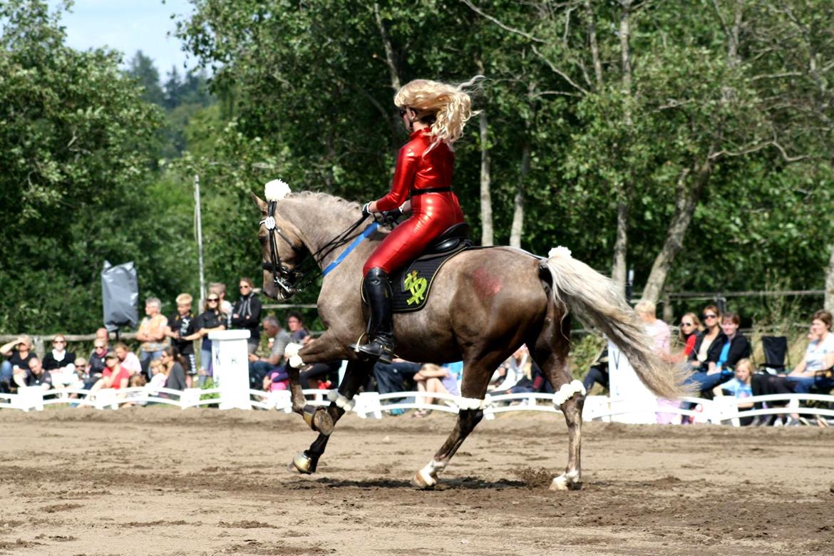 Chopali i Jysk Rideuge's Kostume Kür 2013! "PARIS HILTON & PUDDELHESTEN" billede 15