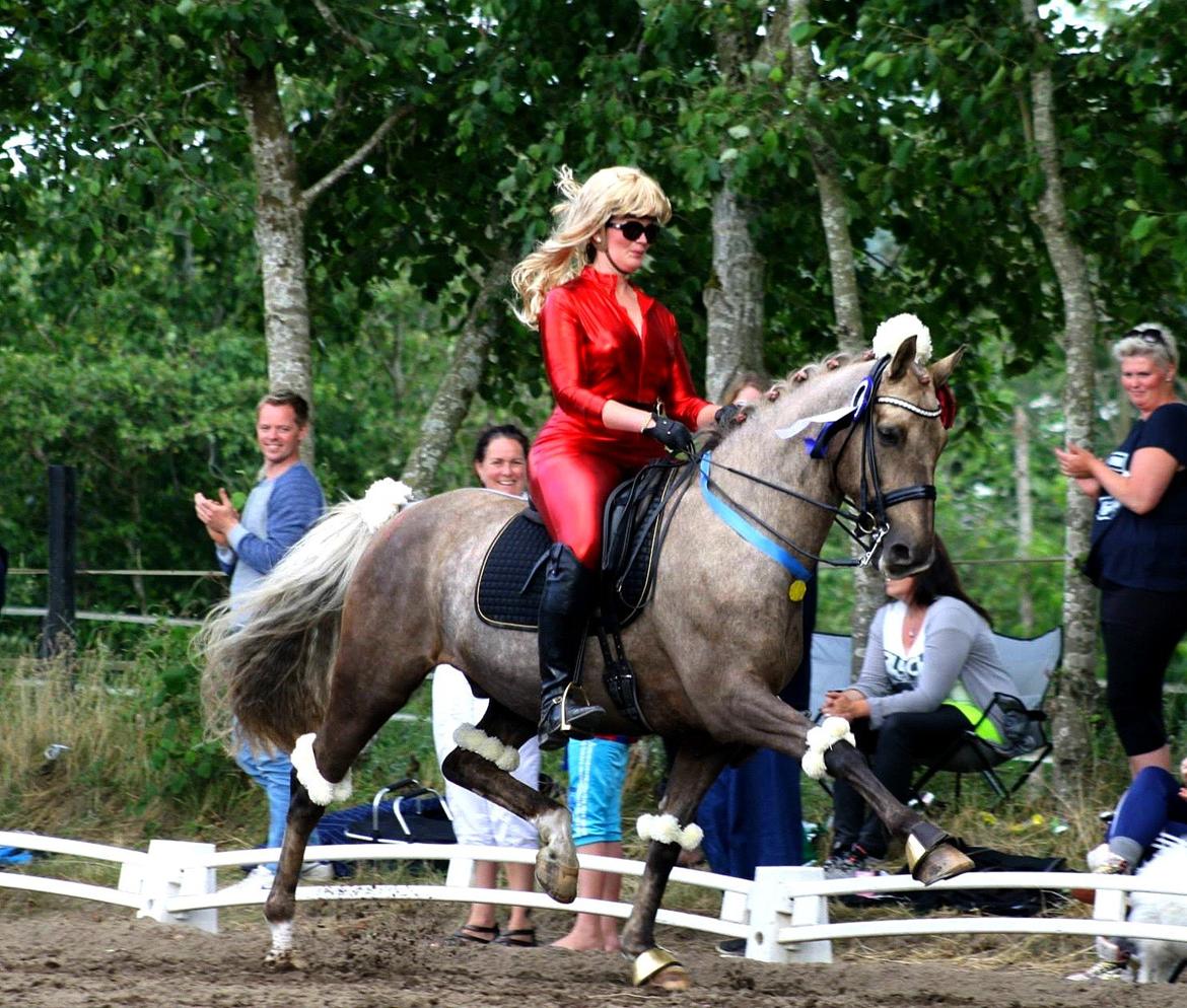 Chopali i Jysk Rideuge's Kostume Kür 2013! "PARIS HILTON & PUDDELHESTEN" billede 16