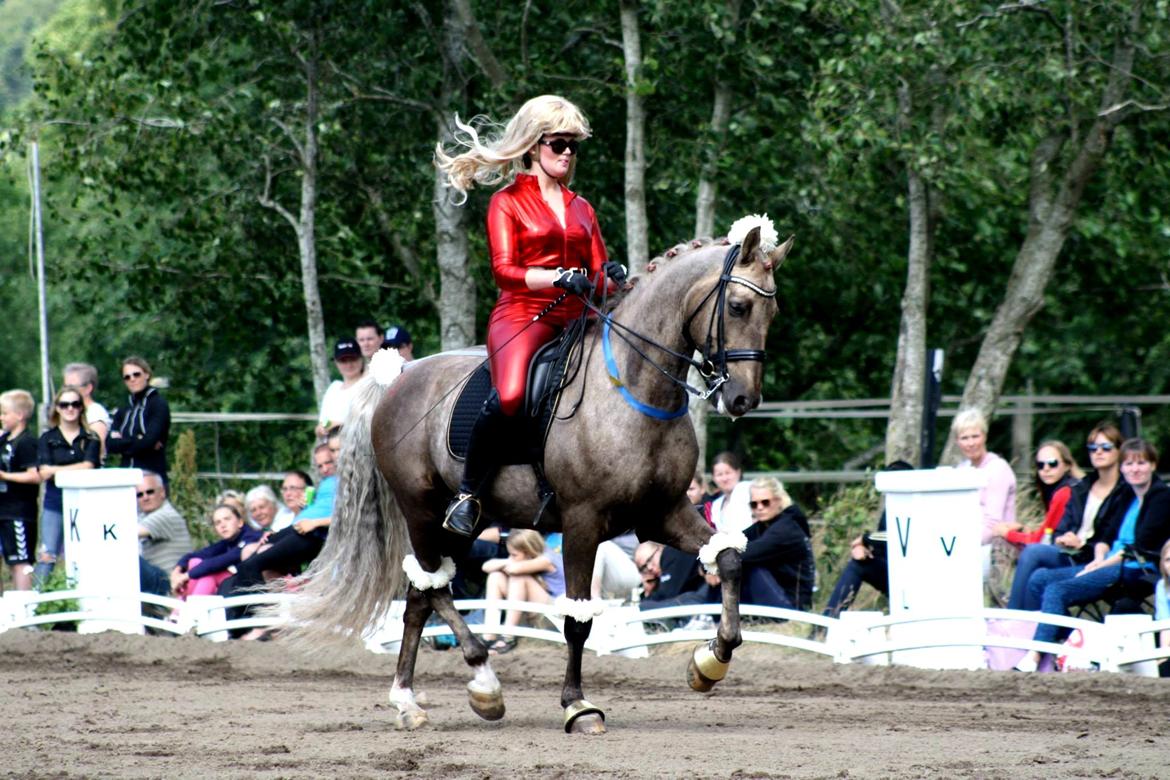 Chopali i Jysk Rideuge's Kostume Kür 2013! "PARIS HILTON & PUDDELHESTEN" billede 17