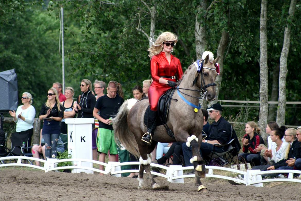 Chopali i Jysk Rideuge's Kostume Kür 2013! "PARIS HILTON & PUDDELHESTEN" billede 20
