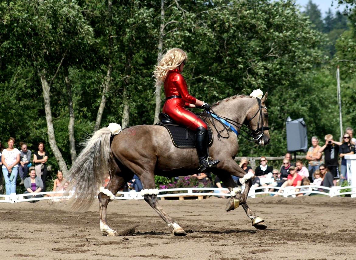 Chopali i Jysk Rideuge's Kostume Kür 2013! "PARIS HILTON & PUDDELHESTEN" billede 21