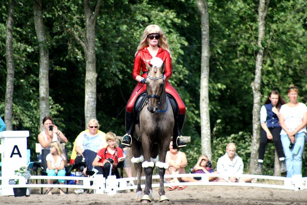 Chopali i Jysk Rideuge's Kostume Kür 2013! "PARIS HILTON & PUDDELHESTEN" billede 22