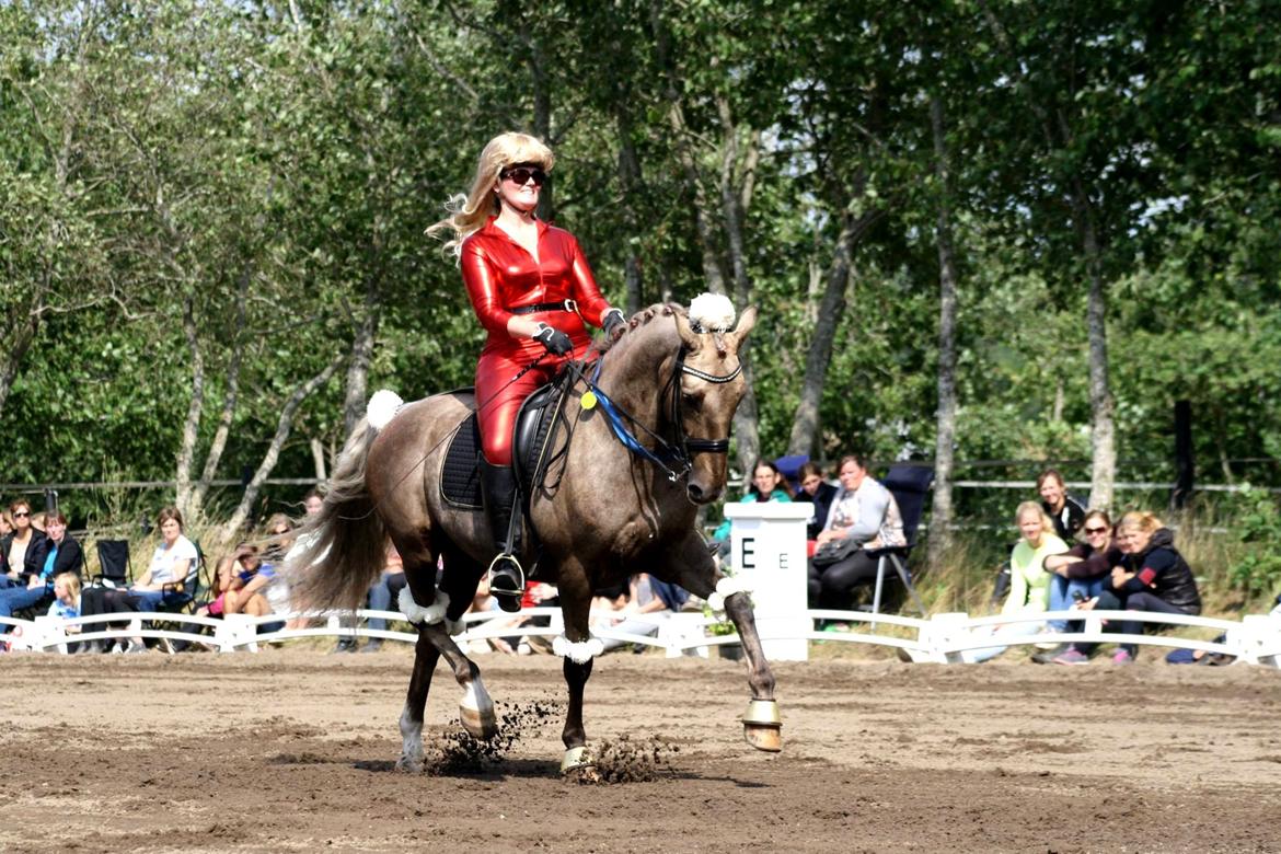 Chopali i Jysk Rideuge's Kostume Kür 2013! "PARIS HILTON & PUDDELHESTEN" billede 23