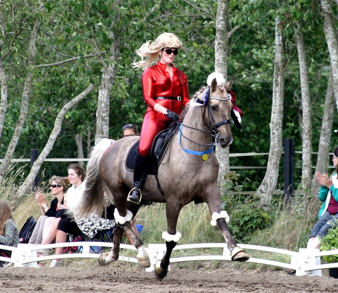 Chopali i Jysk Rideuge's Kostume Kür 2013! "PARIS HILTON & PUDDELHESTEN" billede 24