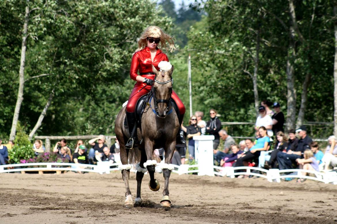 Chopali i Jysk Rideuge's Kostume Kür 2013! "PARIS HILTON & PUDDELHESTEN" billede 25