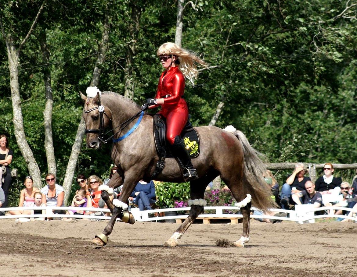 Chopali i Jysk Rideuge's Kostume Kür 2013! "PARIS HILTON & PUDDELHESTEN" billede 26