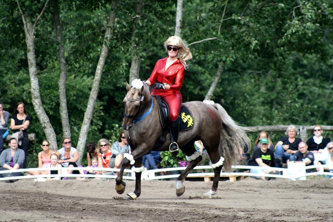 Chopali i Jysk Rideuge's Kostume Kür 2013! "PARIS HILTON & PUDDELHESTEN" billede 27