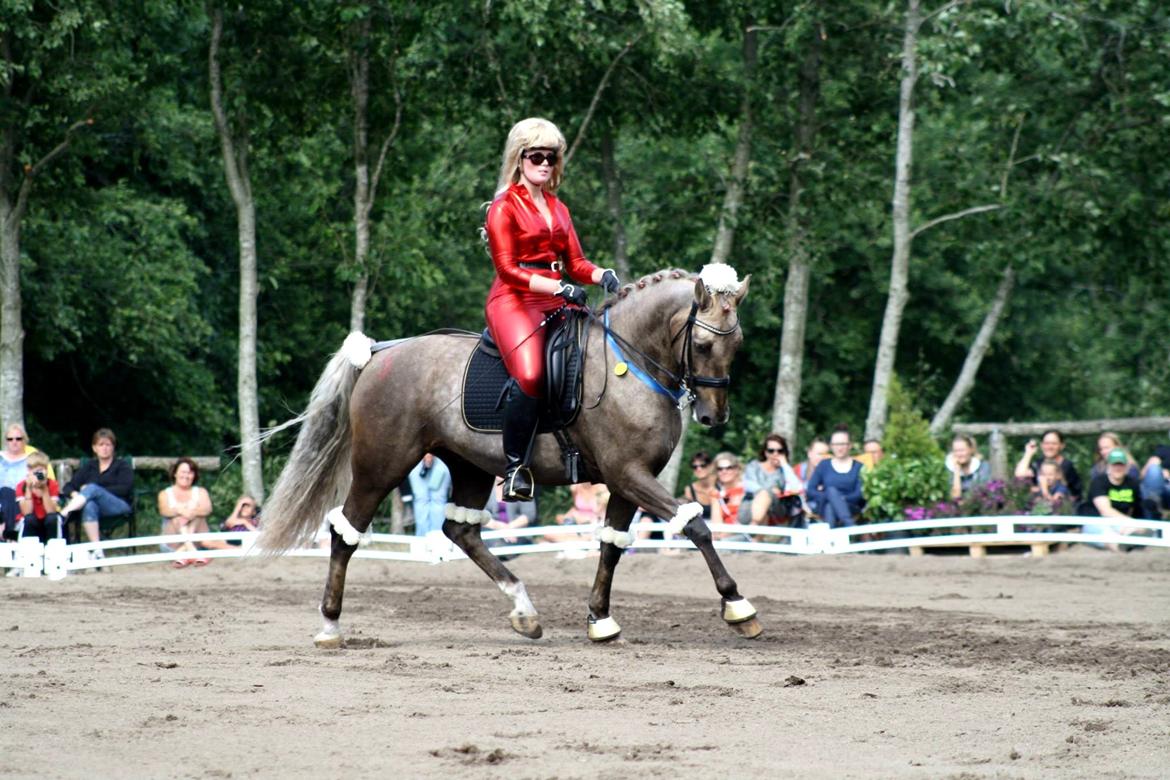 Chopali i Jysk Rideuge's Kostume Kür 2013! "PARIS HILTON & PUDDELHESTEN" billede 28