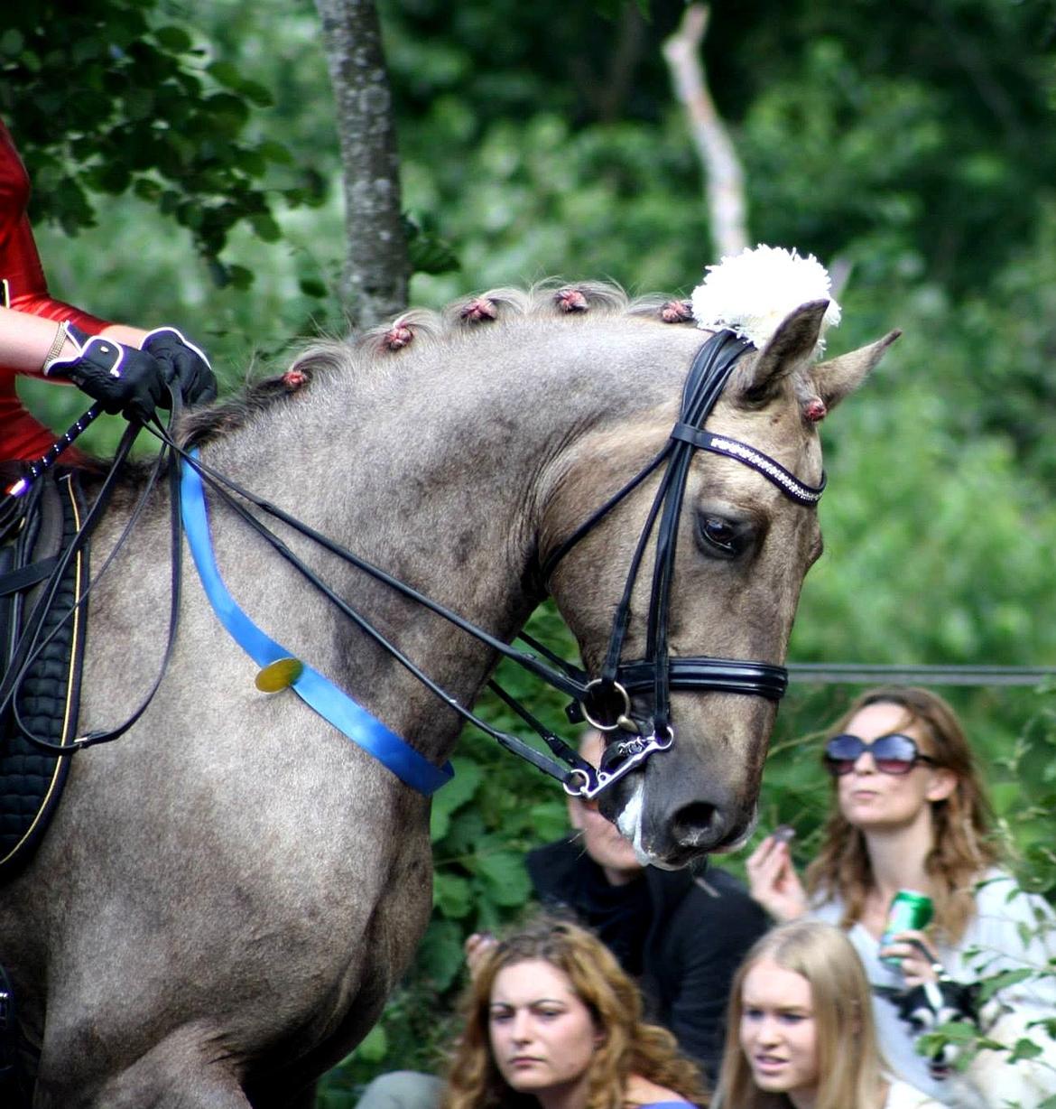 Chopali i Jysk Rideuge's Kostume Kür 2013! "PARIS HILTON & PUDDELHESTEN" billede 29