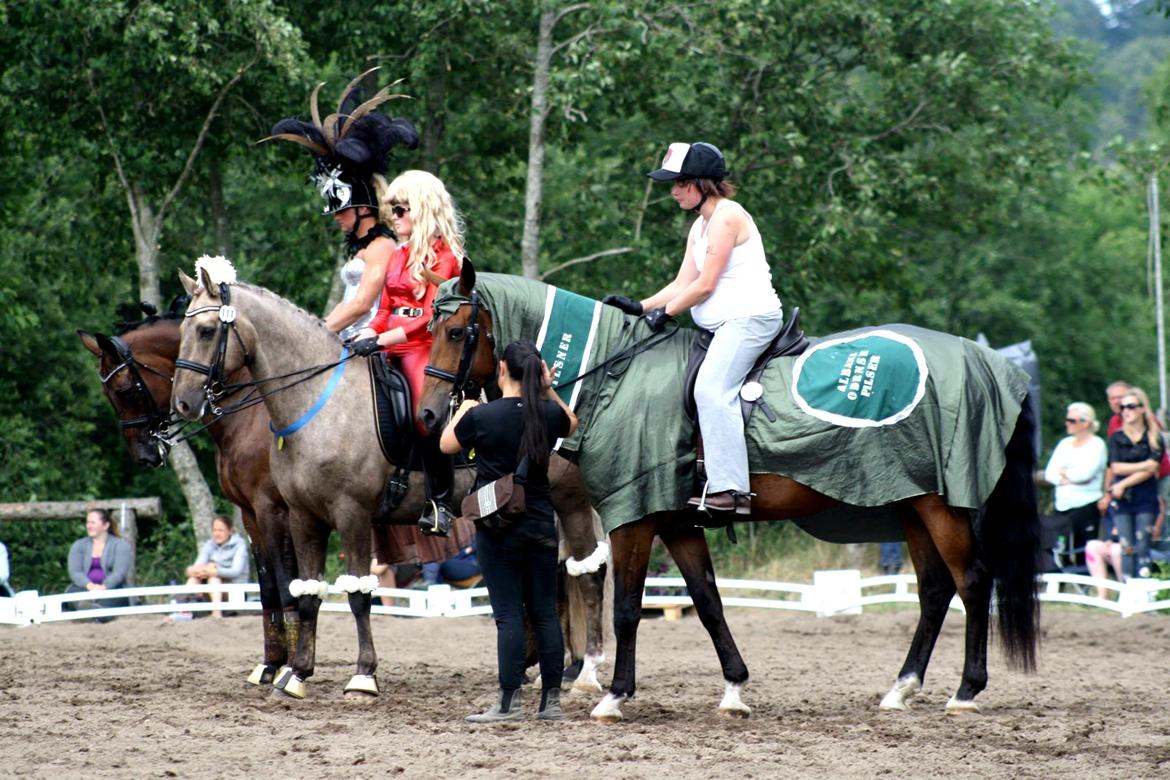 Chopali i Jysk Rideuge's Kostume Kür 2013! "PARIS HILTON & PUDDELHESTEN" billede 30