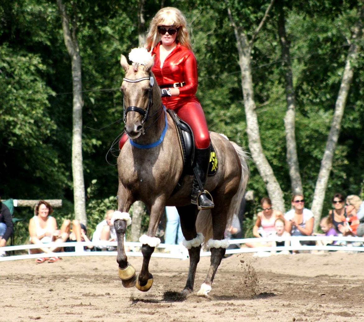 Chopali i Jysk Rideuge's Kostume Kür 2013! "PARIS HILTON & PUDDELHESTEN" billede 31