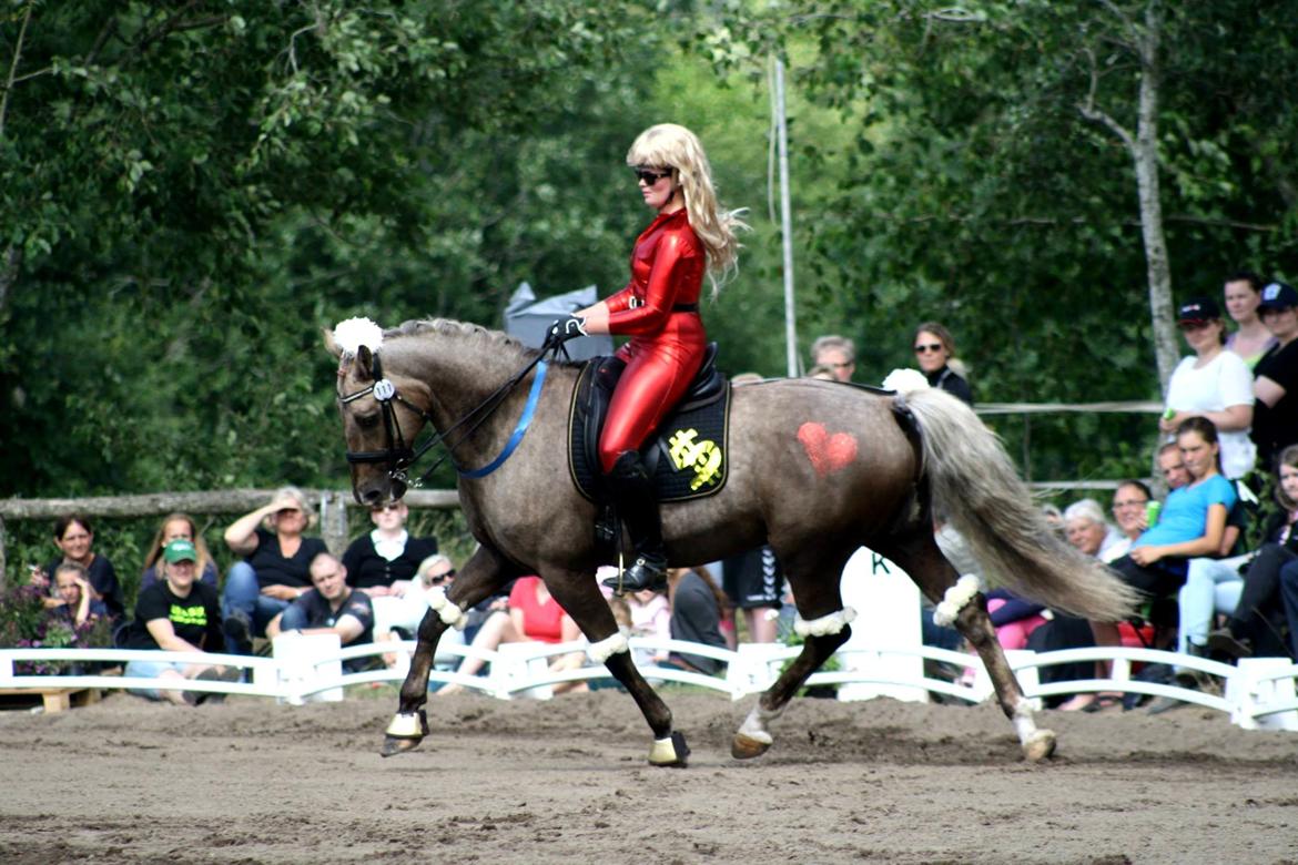 Chopali i Jysk Rideuge's Kostume Kür 2013! "PARIS HILTON & PUDDELHESTEN" billede 32