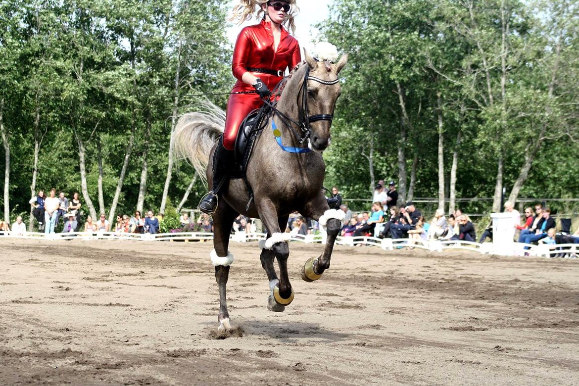 Chopali i Jysk Rideuge's Kostume Kür 2013! "PARIS HILTON & PUDDELHESTEN" billede 34