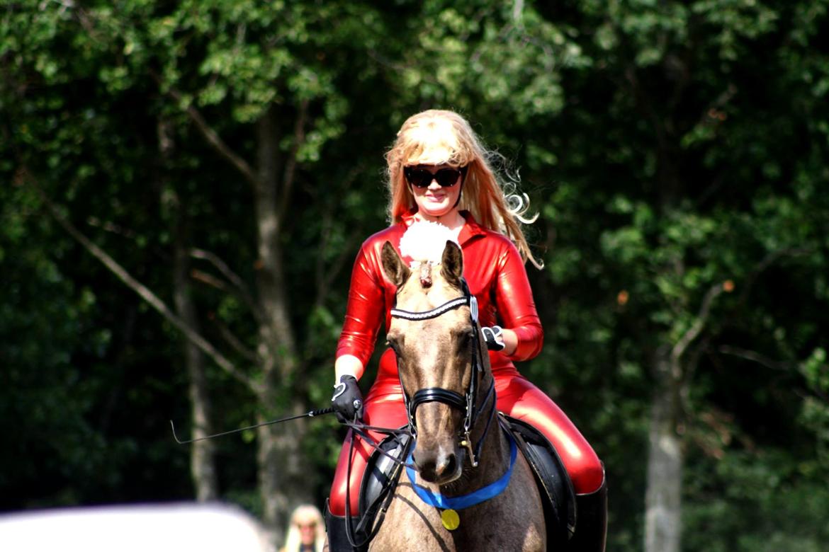 Chopali i Jysk Rideuge's Kostume Kür 2013! "PARIS HILTON & PUDDELHESTEN" billede 35
