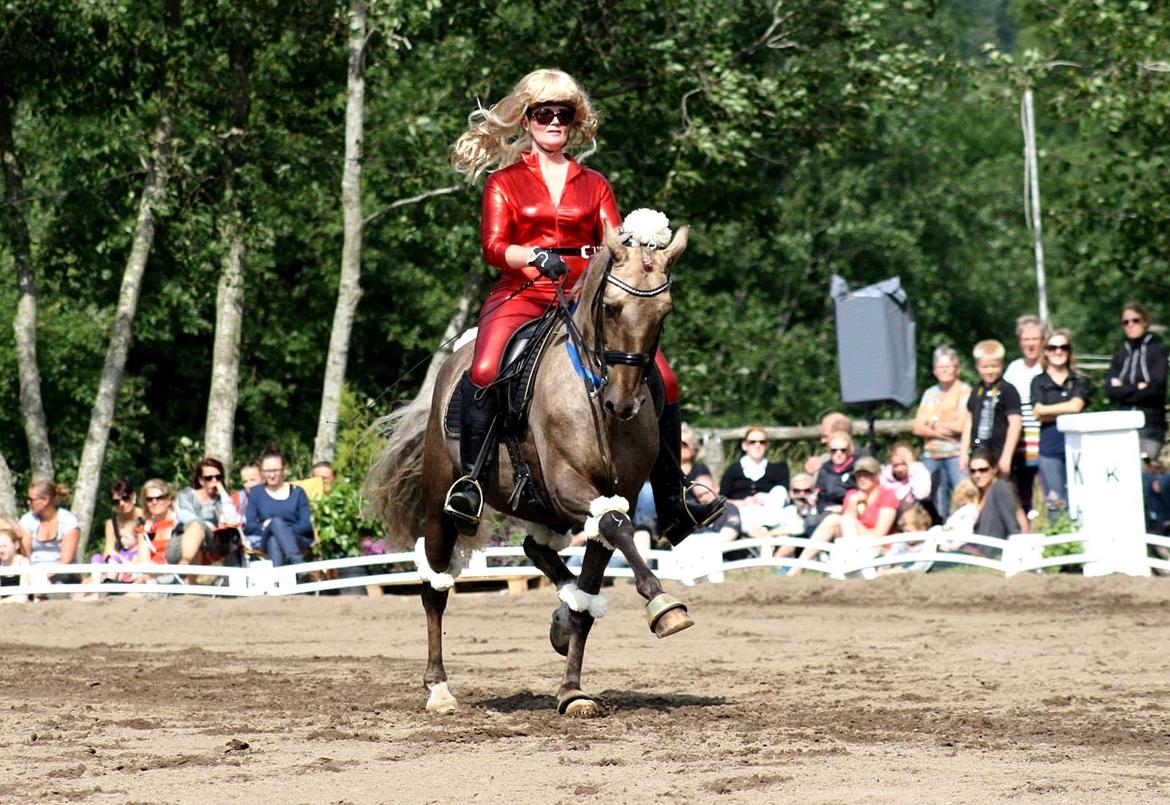 Chopali i Jysk Rideuge's Kostume Kür 2013! "PARIS HILTON & PUDDELHESTEN" billede 36