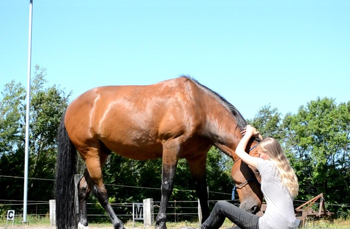 Vores billedebog. - Hygge i sommersolen med den bedste hest i hele verdenen (': billede 103