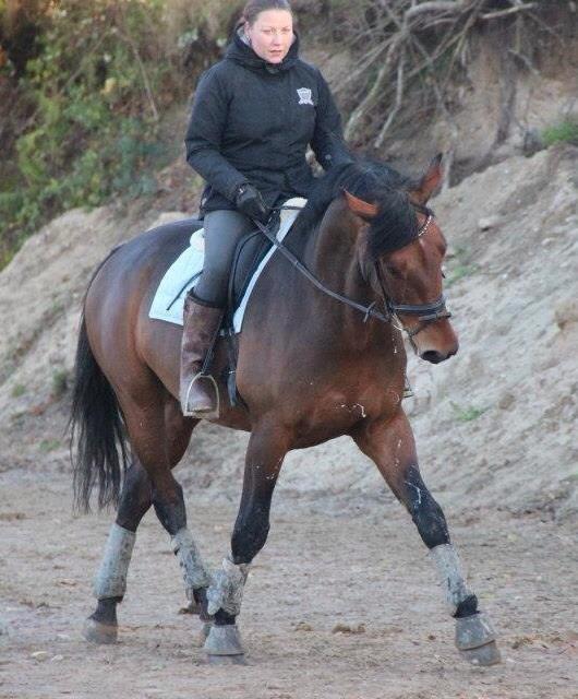 Christianslund ridecenter billede 3