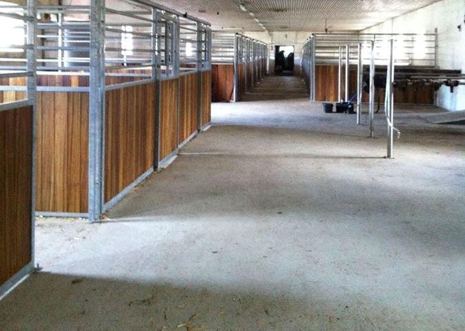 Christianslund ridecenter billede 7