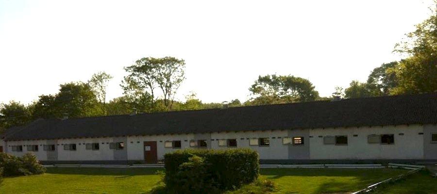 Christianslund ridecenter billede 8