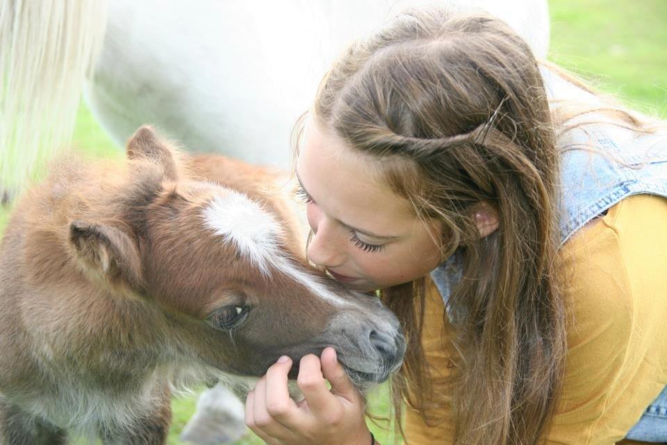 Christianslund ridecenter billede 10