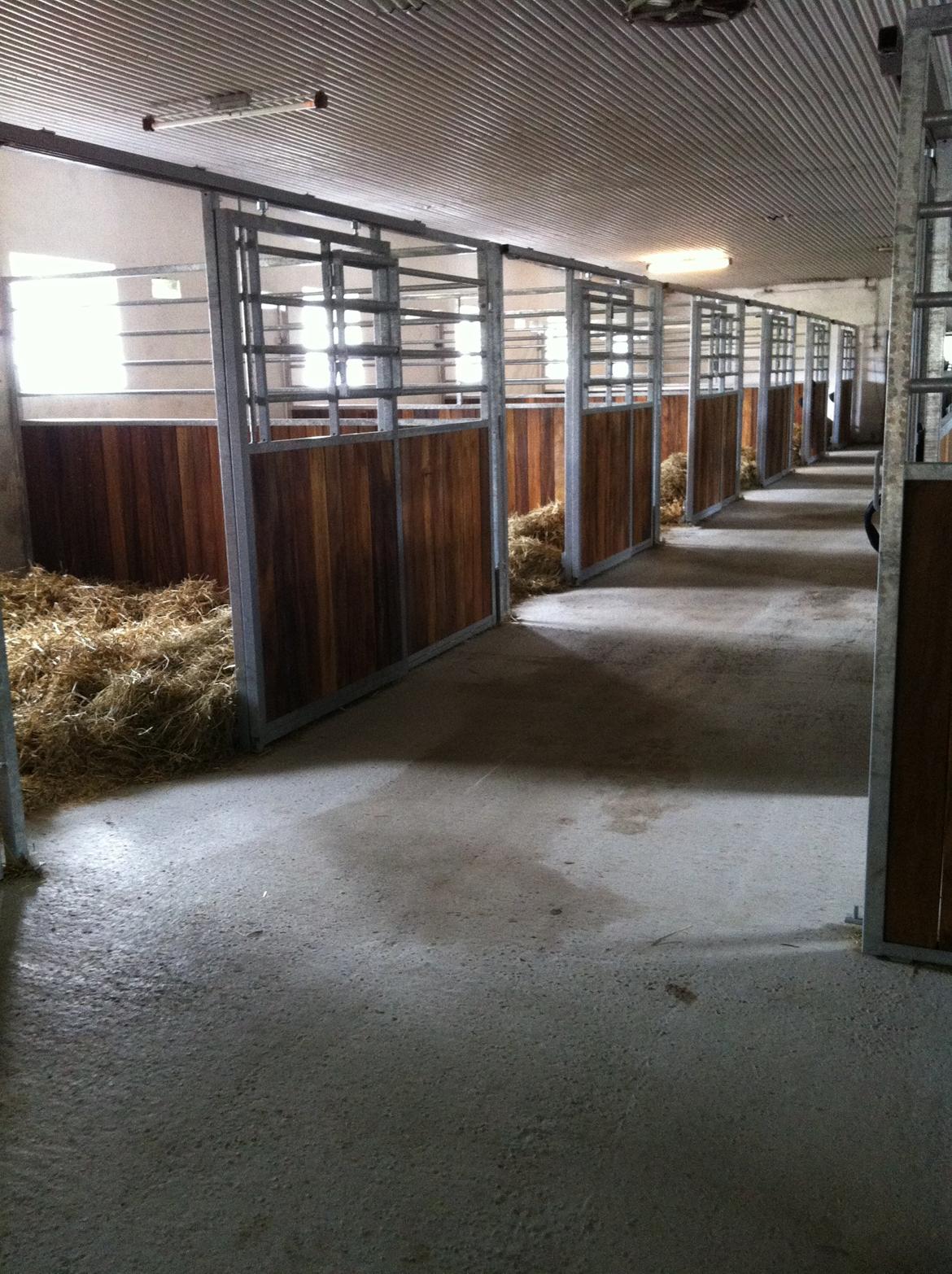 Christianslund ridecenter billede 12