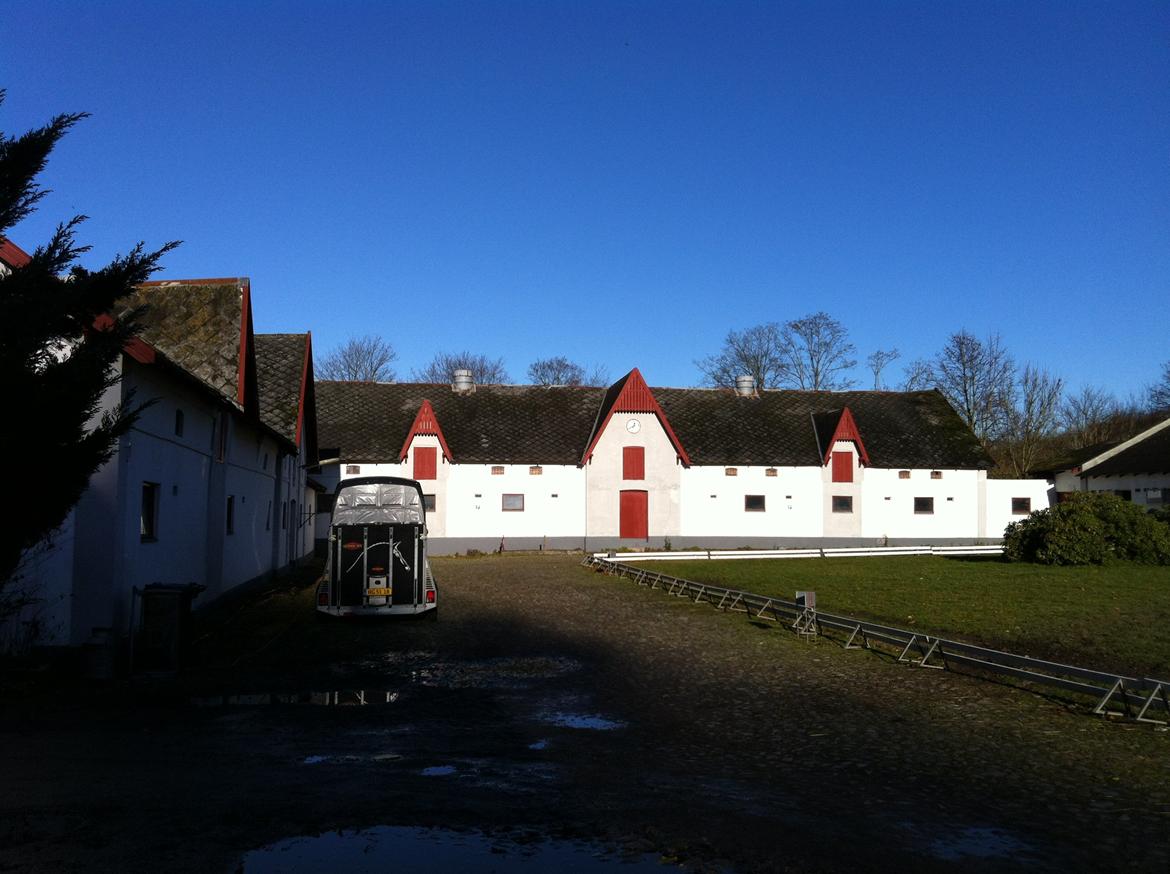 Christianslund ridecenter billede 15