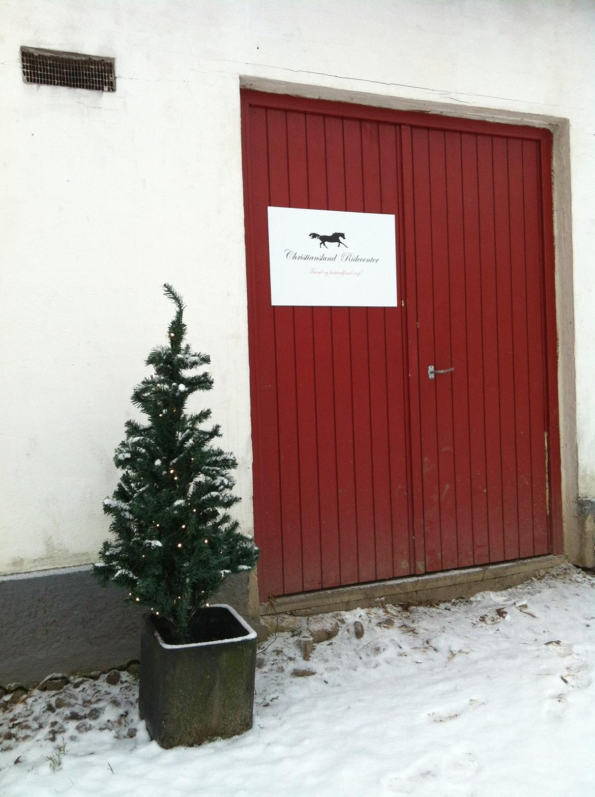 Christianslund ridecenter billede 17
