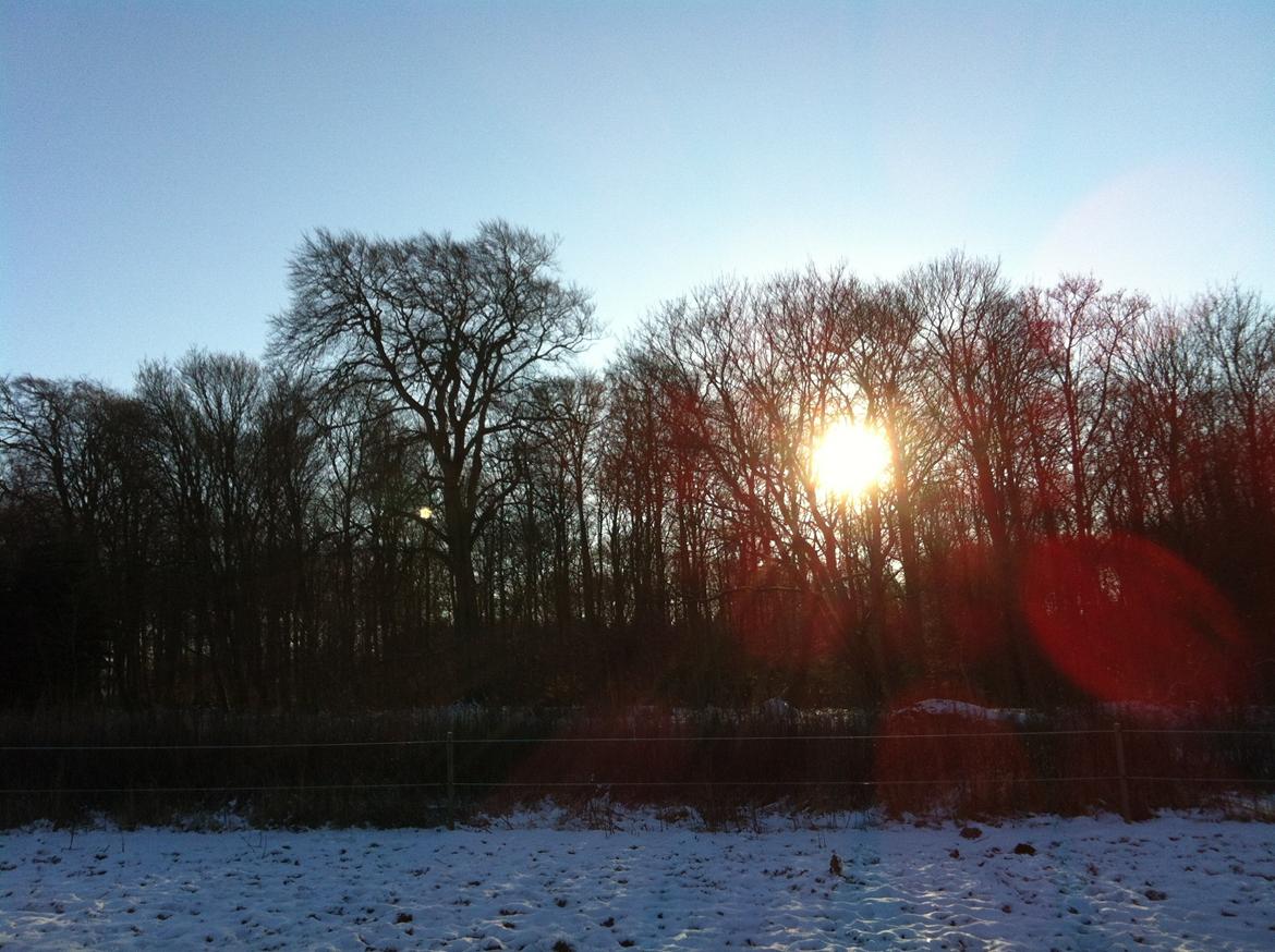 Christianslund ridecenter billede 20