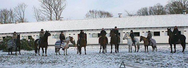 Christianslund ridecenter billede 22