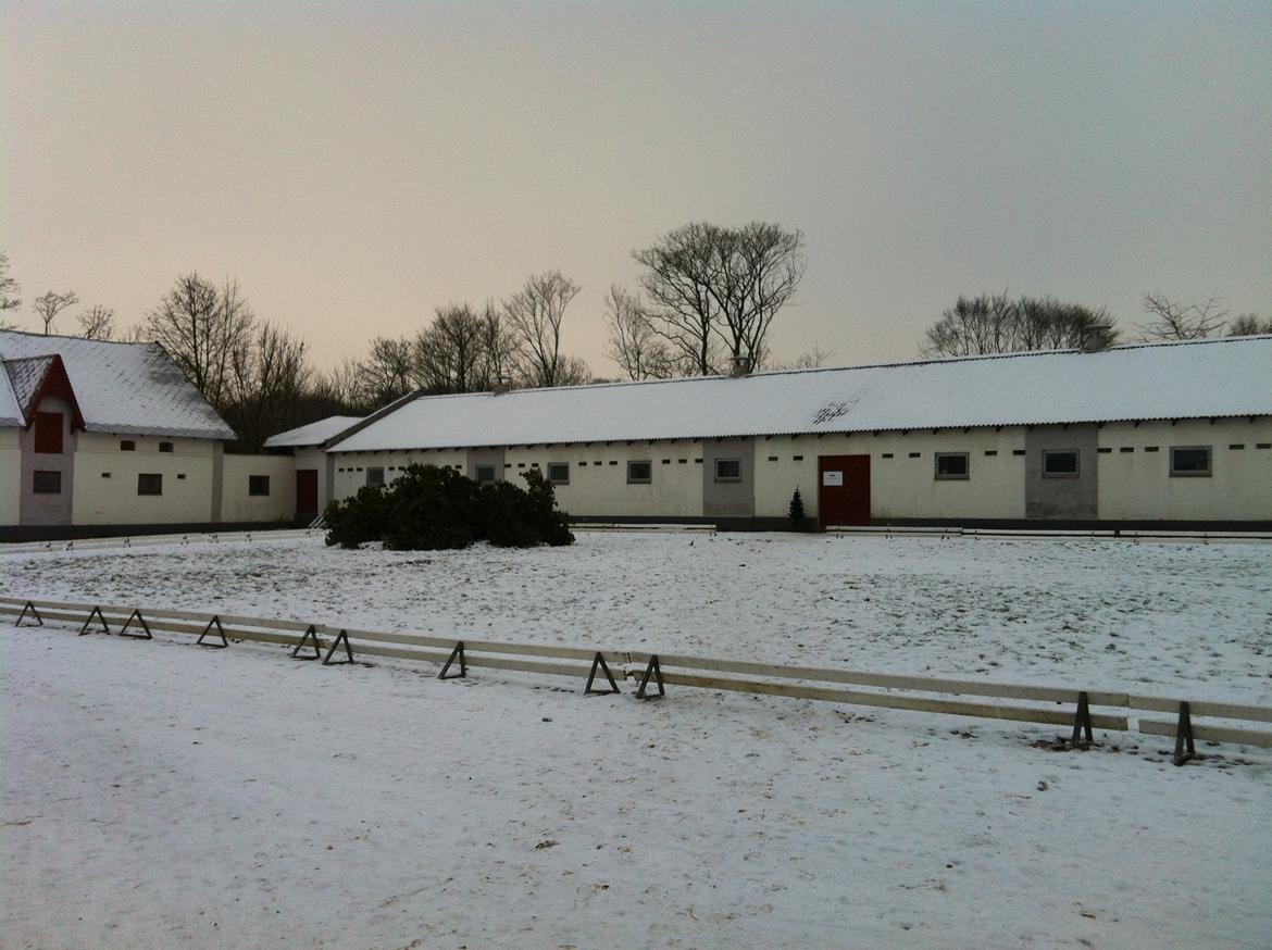 Christianslund ridecenter billede 23