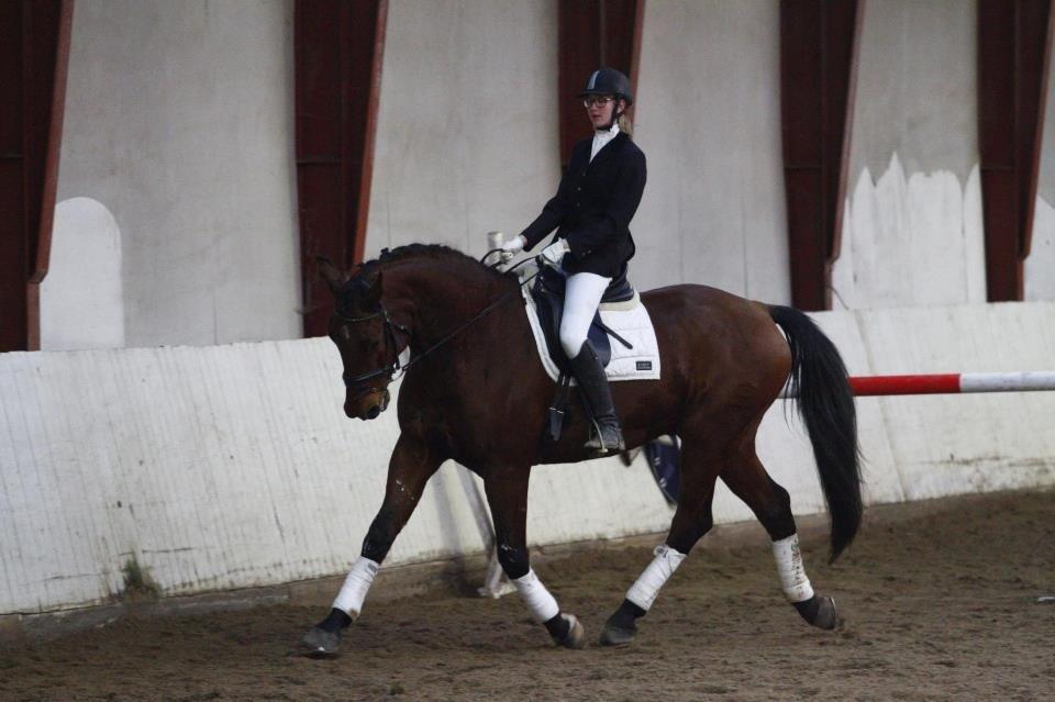 Christianslund ridecenter billede 25