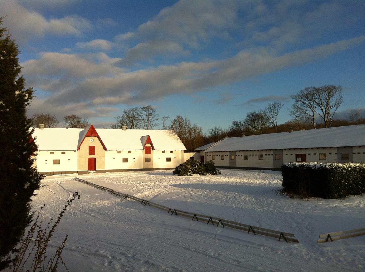 Christianslund ridecenter billede 26