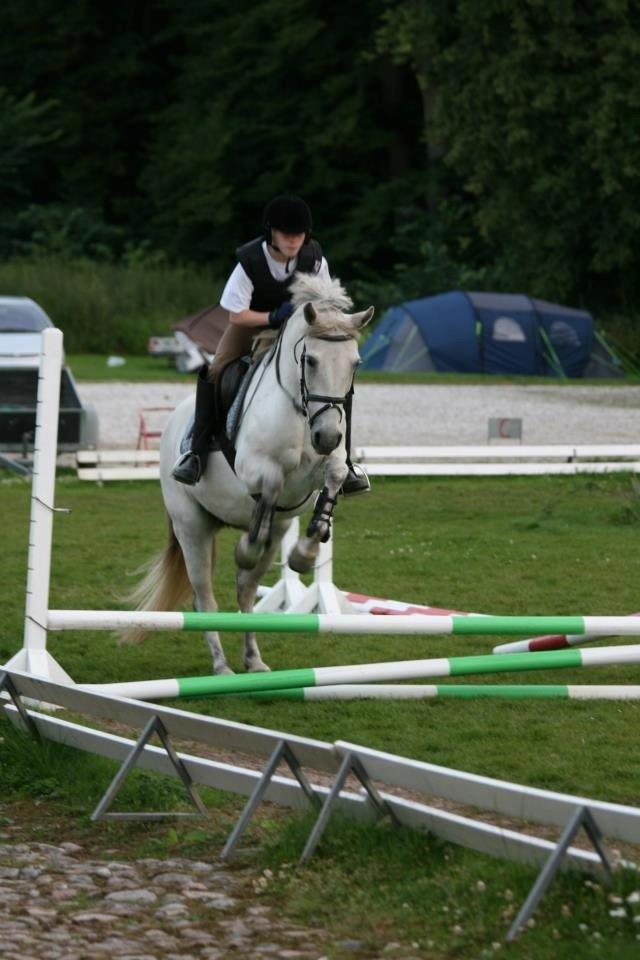 Christianslund ridecenter billede 28