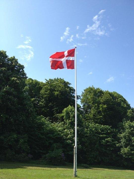 Christianslund ridecenter billede 33