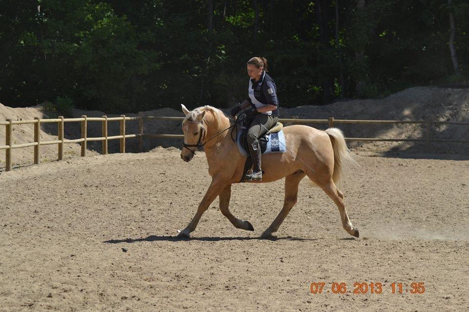 Christianslund ridecenter billede 34