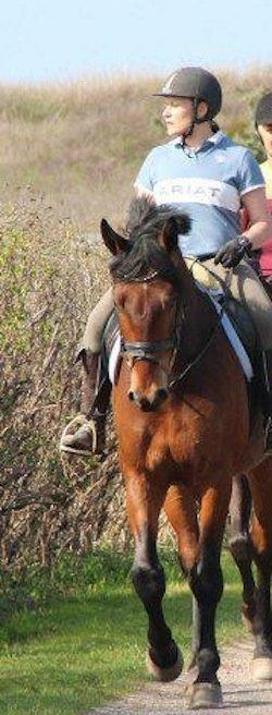 Christianslund ridecenter billede 36