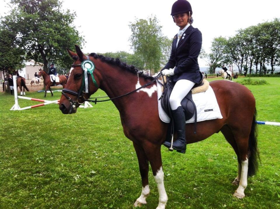 Christianslund ridecenter billede 37