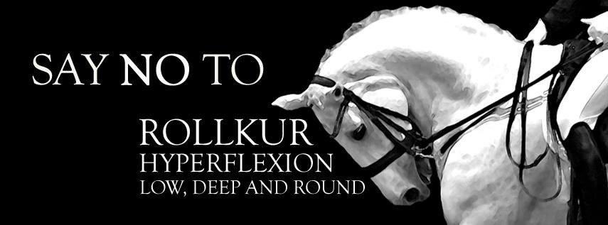 Christianslund ridecenter billede 38